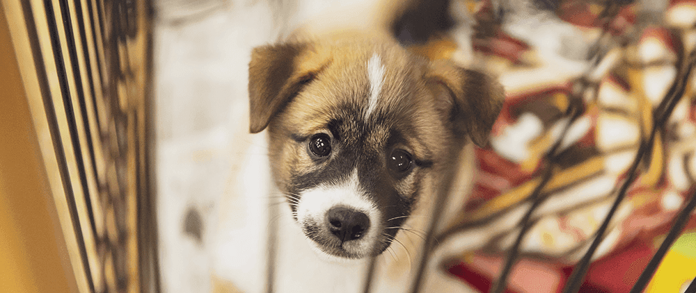 ビジネスしている様子